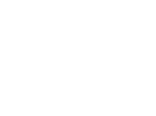 Trailwise logo